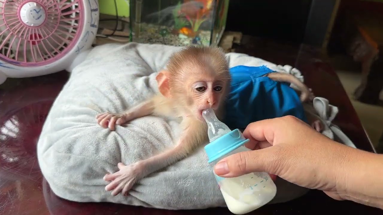 Your milk baby 
