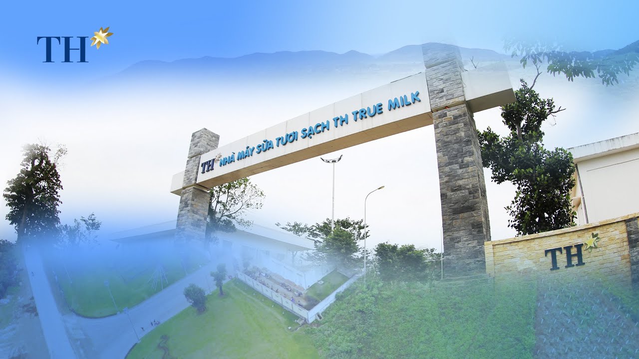 Hành trình Trang trại TH true MILK xác lập kỷ lục thế giới
