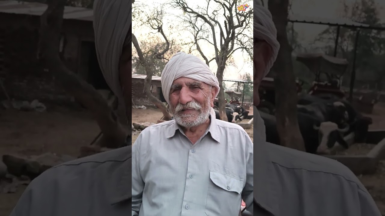 ਬਾਪੂ ਦੀਆਂ ਗੱਲਾਂ ਨੇ ਬਣਾਤੀ ਪੂਰੀ ਫਿਲਮ _ a glimpse of olden united punjab village fatehpur boonga(ropar)