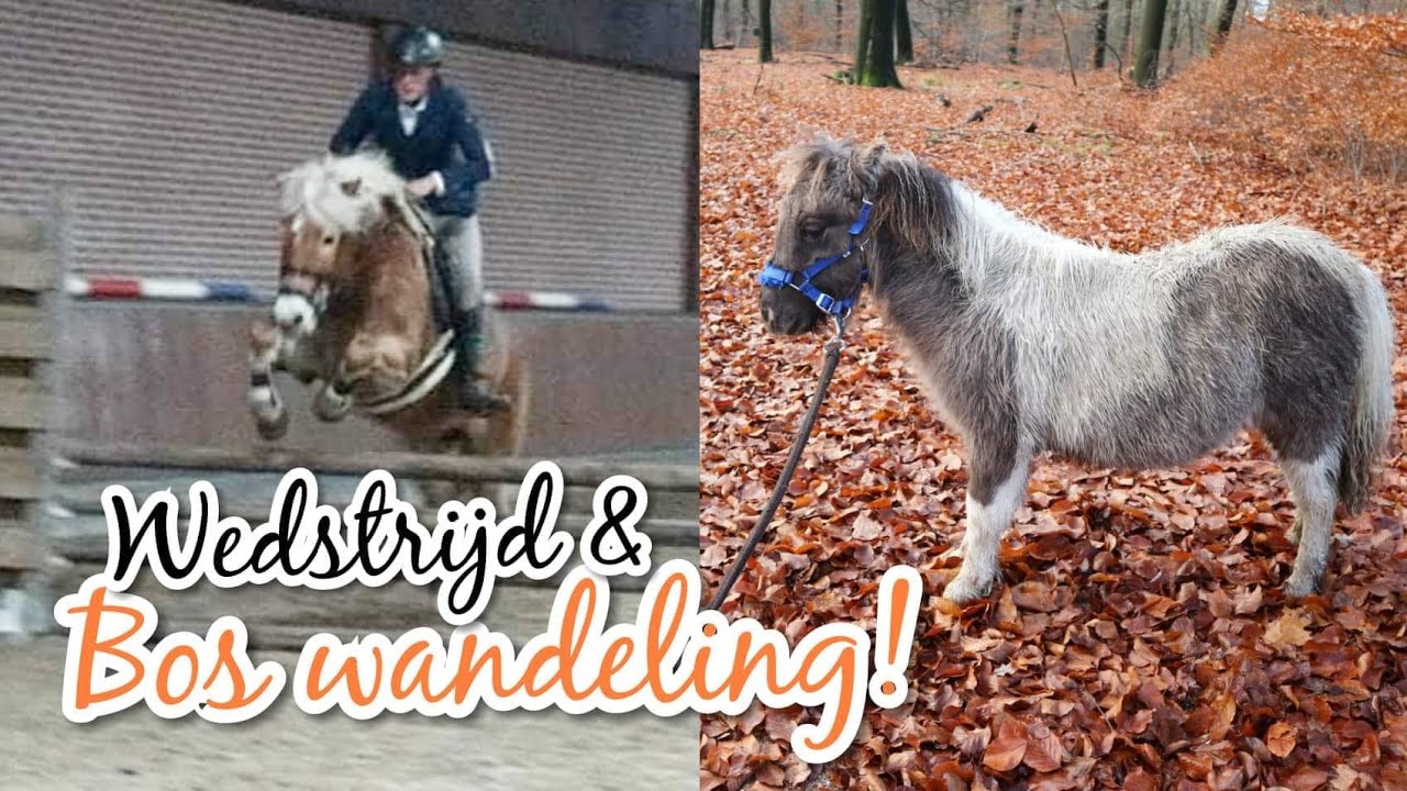 BOS wandeling met DIABLO en SPRING WEDSTRIJD!