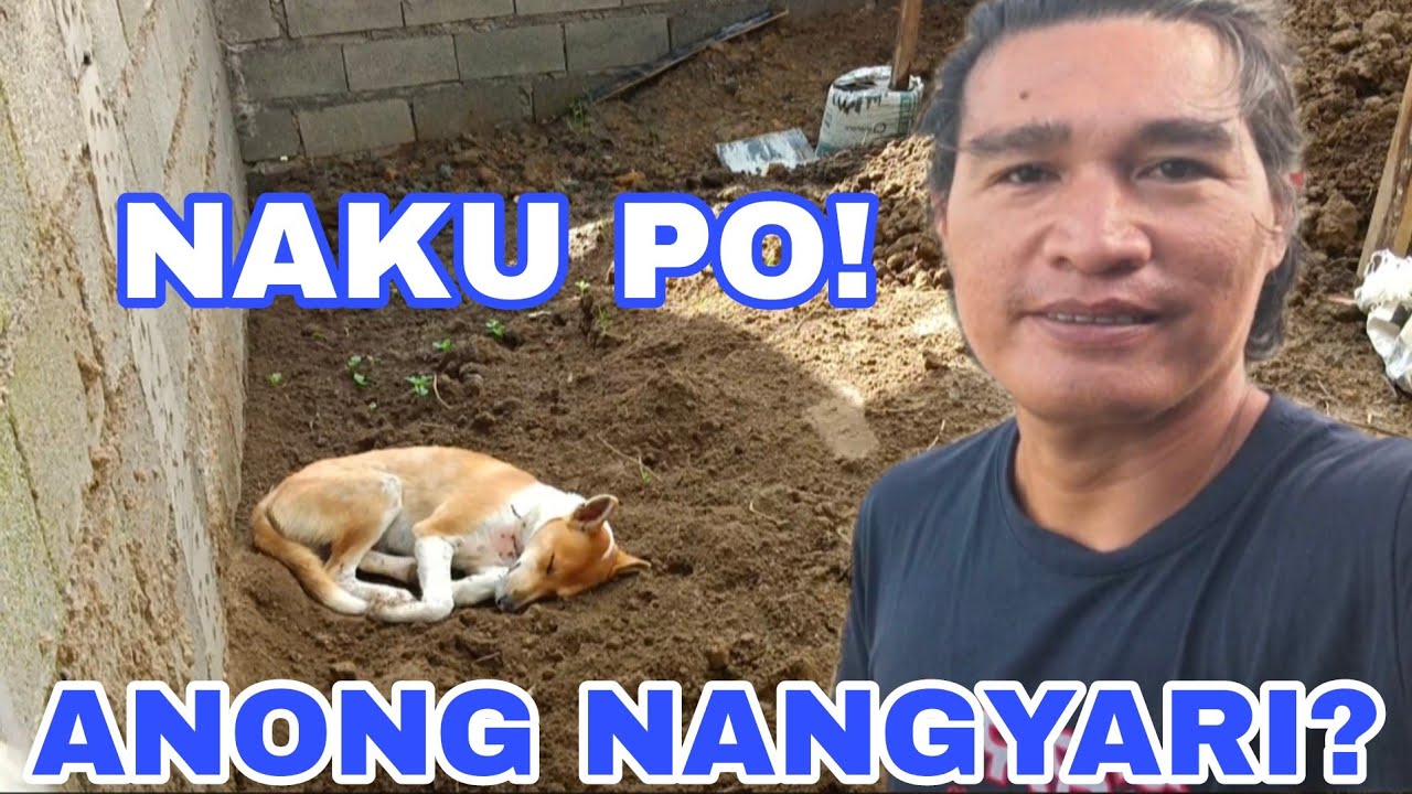 NAANTALA ANG GAWA NG DAHIL DITO