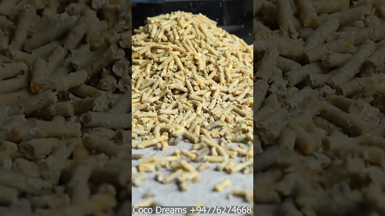 Coco dreams Lanka Four rollers feed pellet making machine