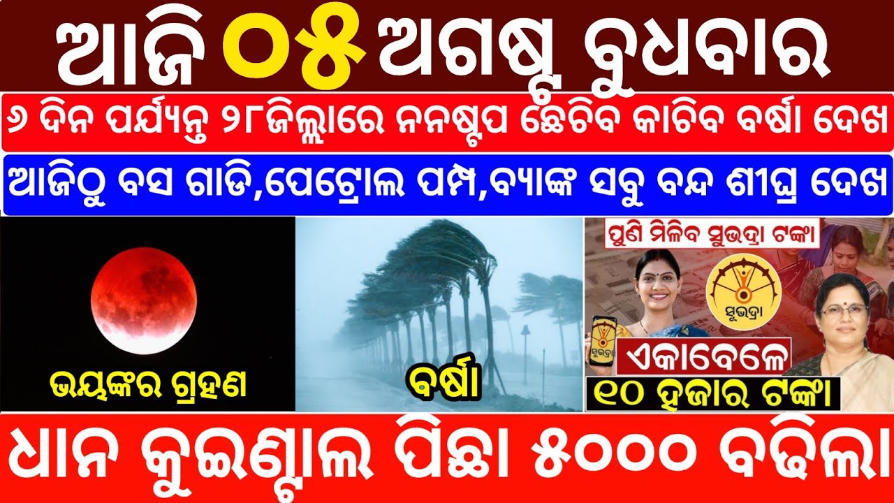 Today's Odia News/05 August 2026/Odisha News Today/PM Kisan Yojana/Subhadra Yojana/odisha news