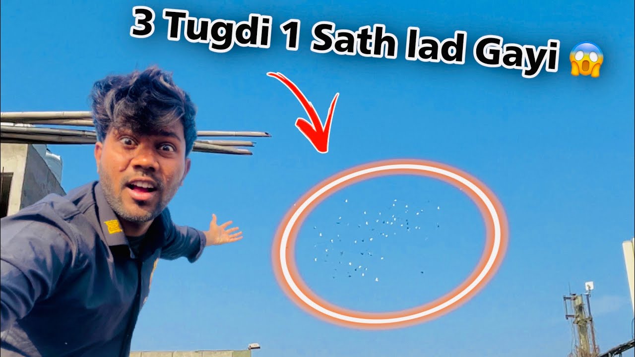 3 Tugdi Se Lad Gaye Kabootar 😱 Fir Dekho Kya hua