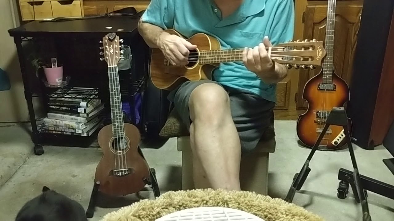 $129 Oscar Schmidt vs $469 Lanikai 8 string tenor ukulele