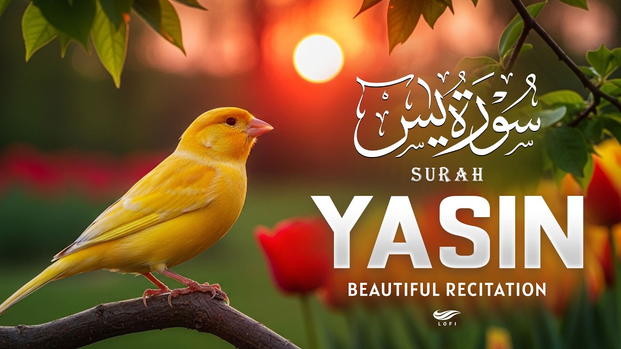 Surah Yasin Yaseen سورة يس ✪Heart Touching Quran Recitation Full Of Spiritual Love