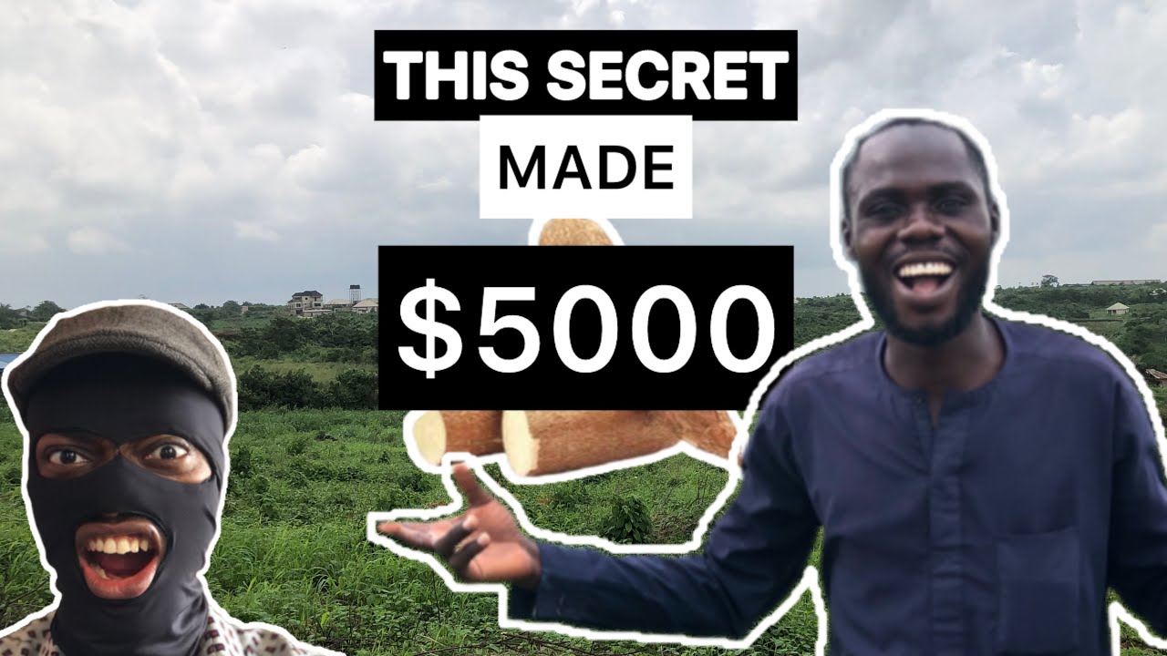 Can Maize, Cassava or Groundnut make you $5000 in Months