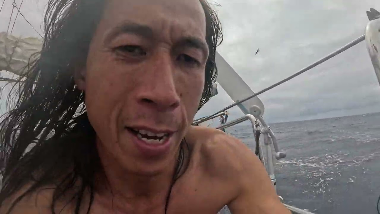 一人一狗飄流在浩瀚太平洋，何處是岸