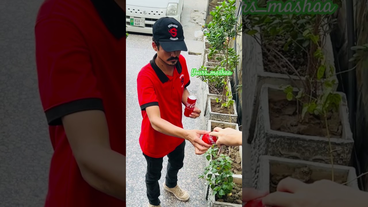 Shanghai dragon #food #foodie #fsd #fsdvlogs #foodkingfsd