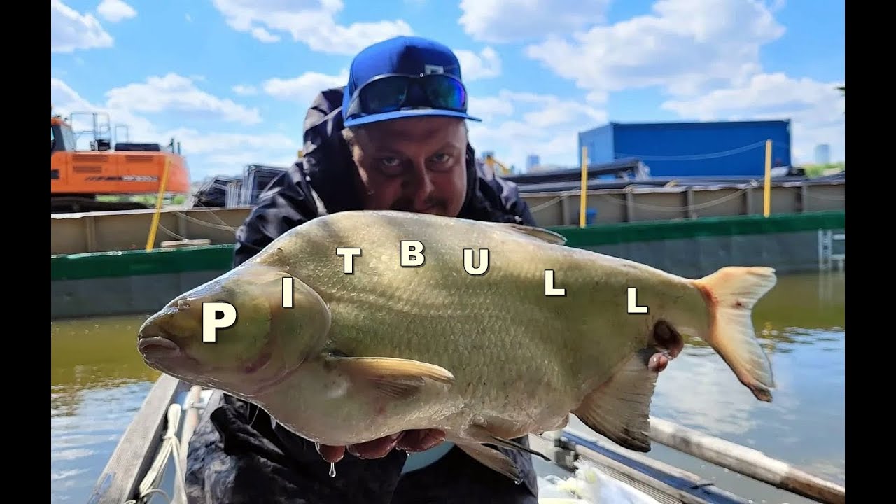 DEEPER TEST I WIŚLANE GRUBE LESZCZE