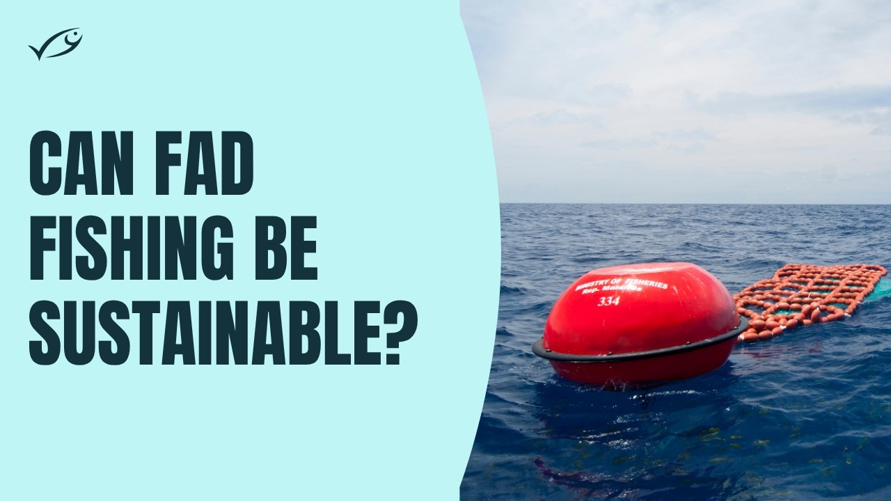Can FAD fishing be sustainable?