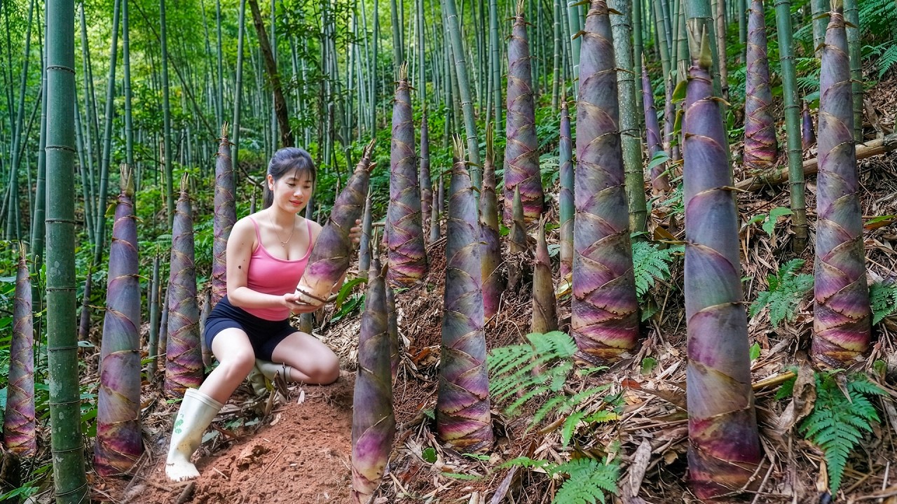 116Day Harvest Bamboo Shoots in the Deep Forest, Cauliflower - Growing Corn, Ginger, Watermelon