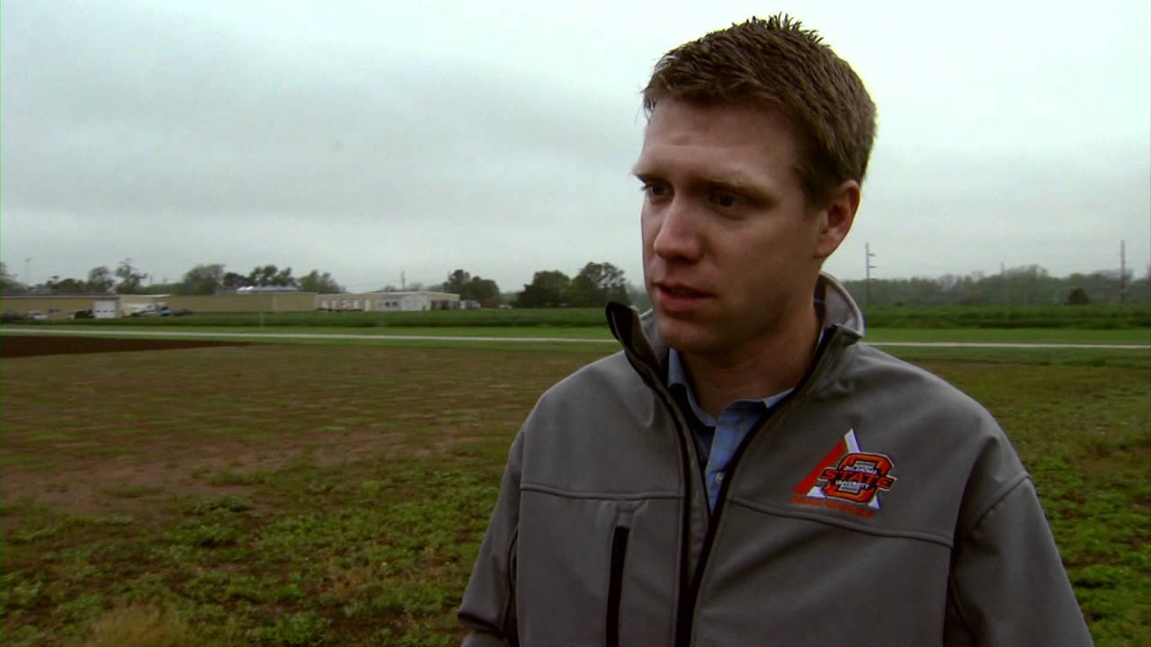 Spring Weed Control