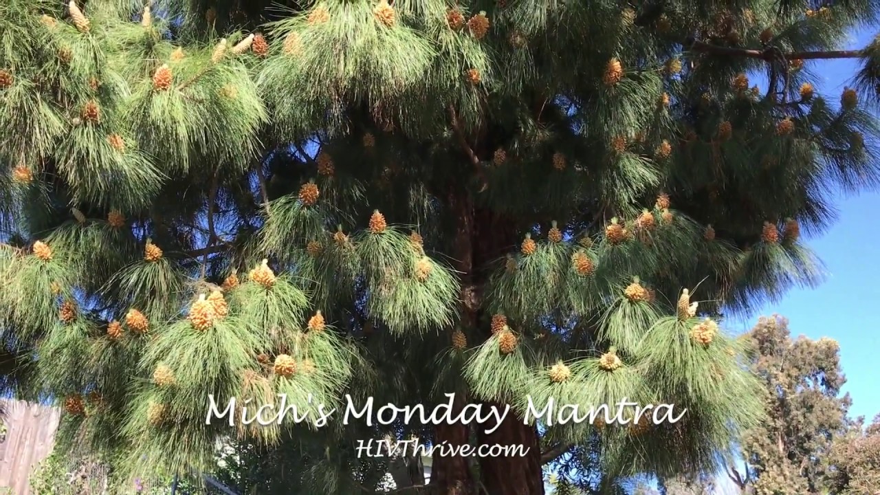 Mich's Monday Mantra 