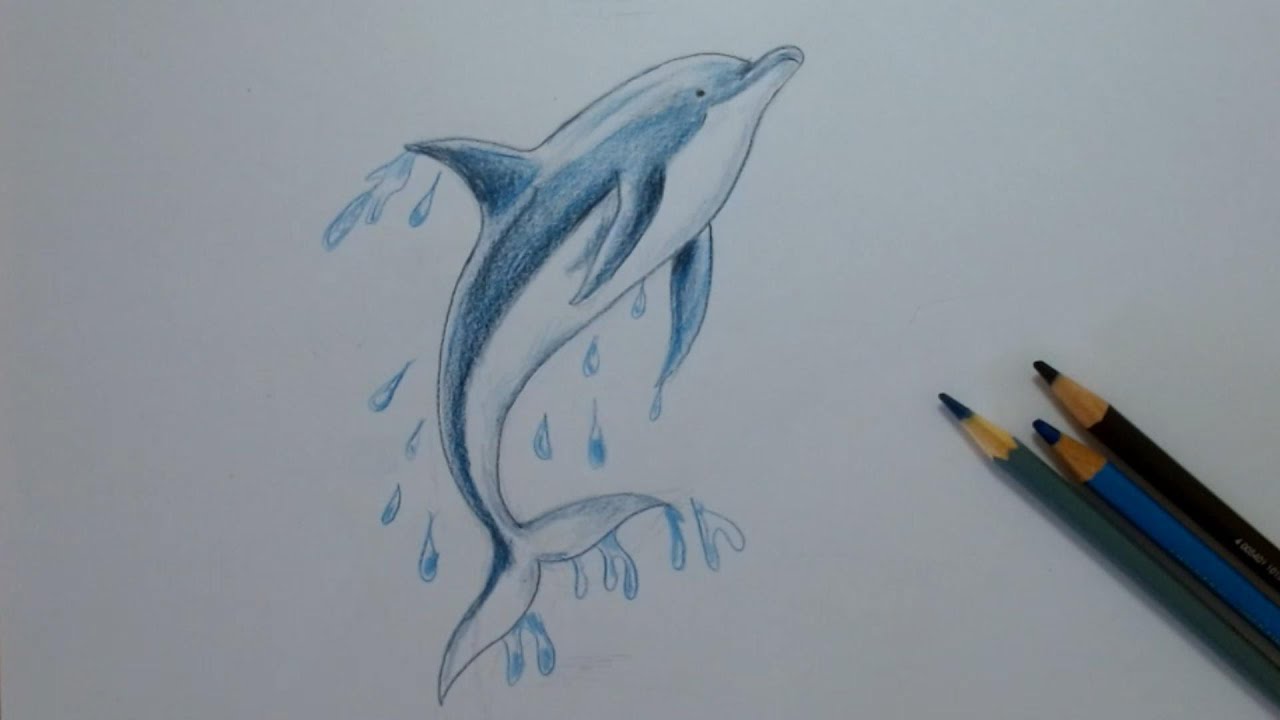 como desenhar um GOLFINHO