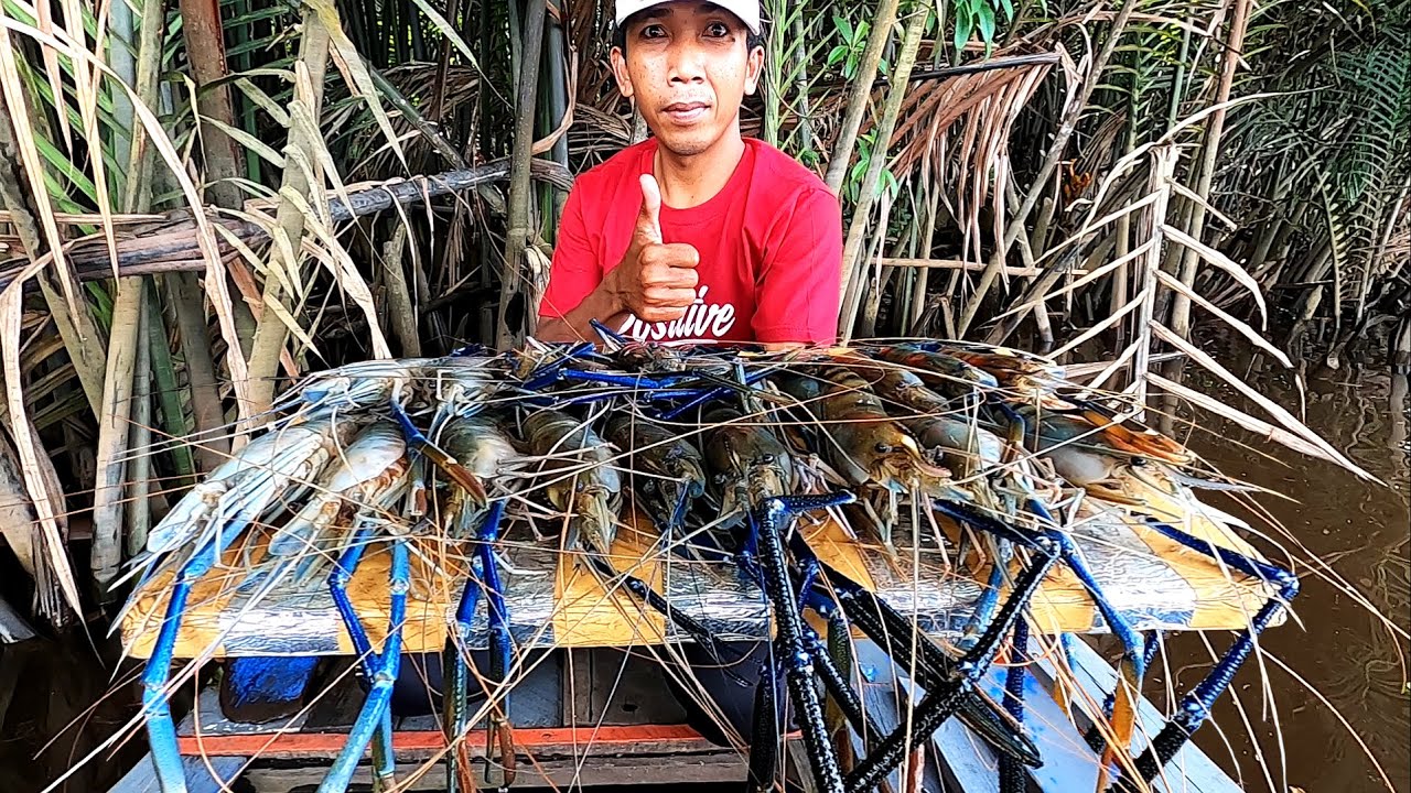 Trip mancing terakhir menjelang Ramadhan.. Alhamdulillah panen monster lagi di spot baru