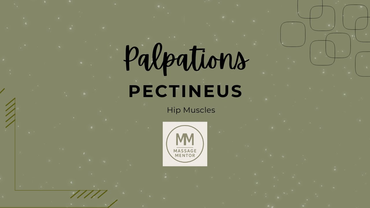 Pectineus Palpation