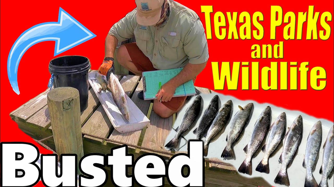 Busted by The Man Inshore Fishing for Speckled Trout