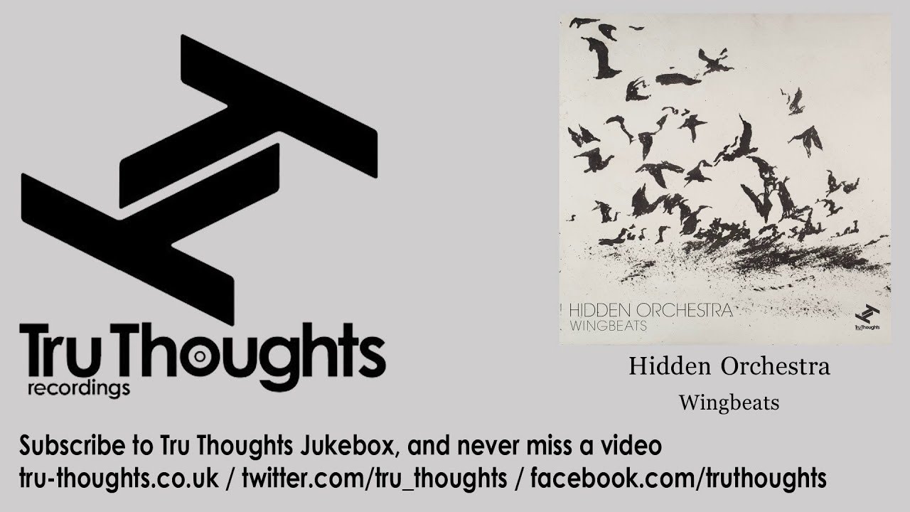 Hidden Orchestra - Wingbeats