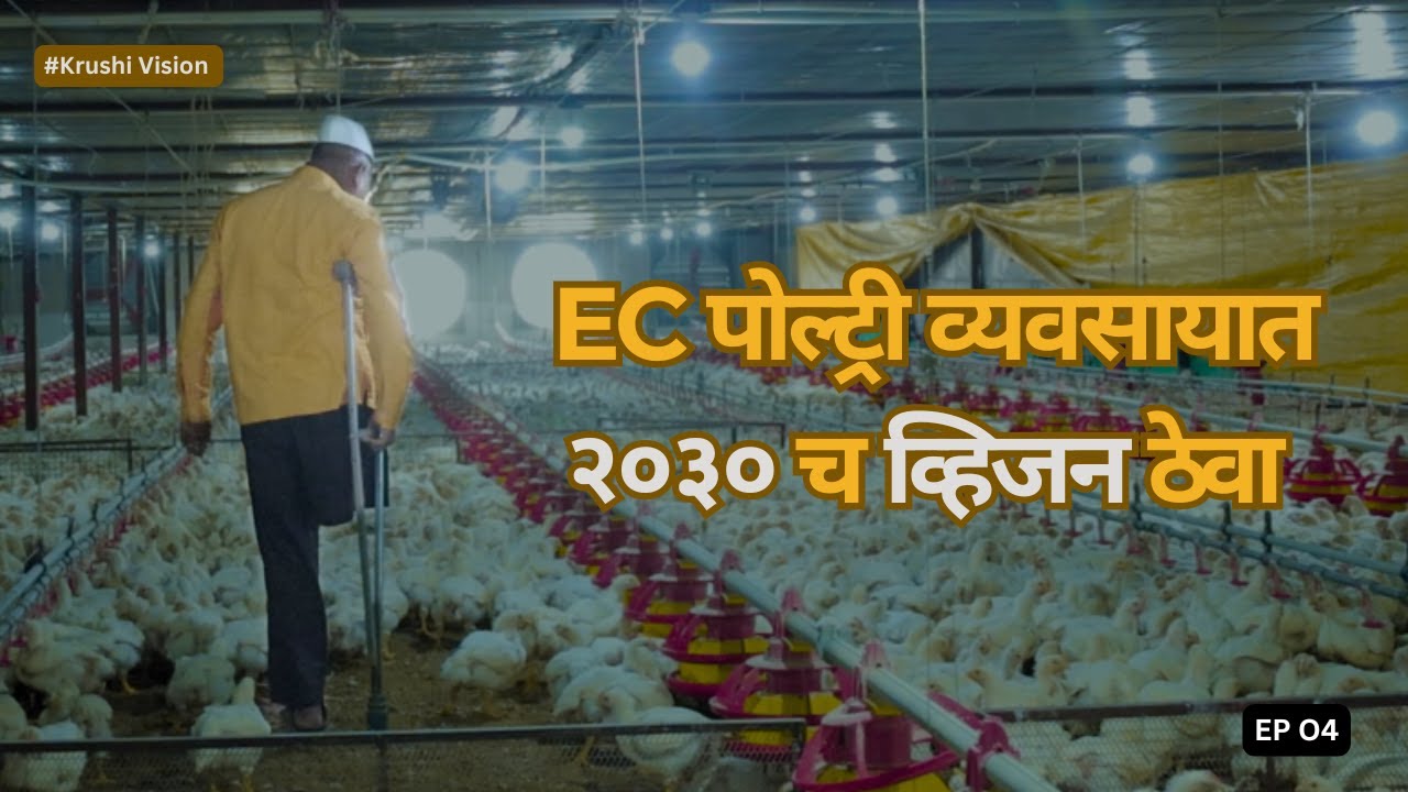 EC पोल्ट्री फार्म | 2030 च व्हिजन ठेवा | उत्तम डुकरे | Ec Poultry Farm | Part 02