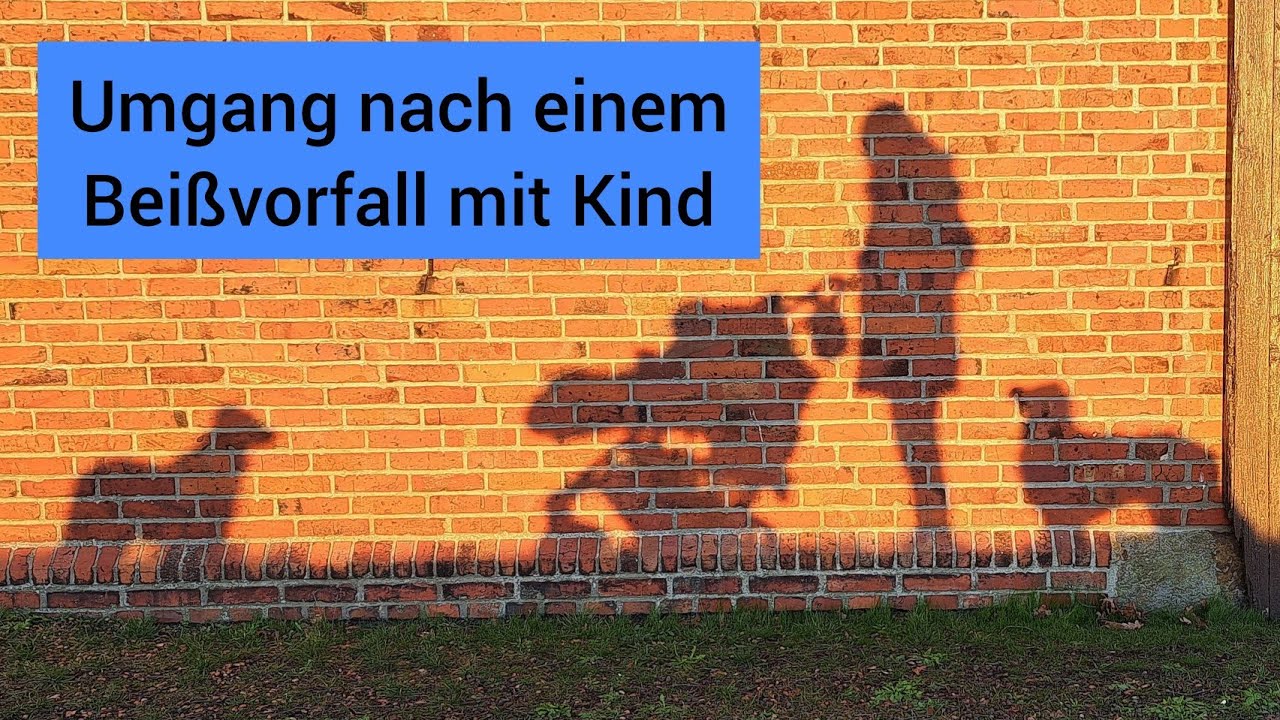 Fragerunde: Umgang nach einem Beißvorfall beim Kind | Wenn Hunde beißen