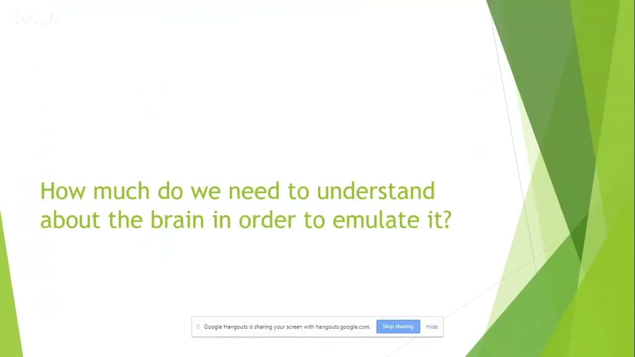 Brain Theories (Transcending Biology)
