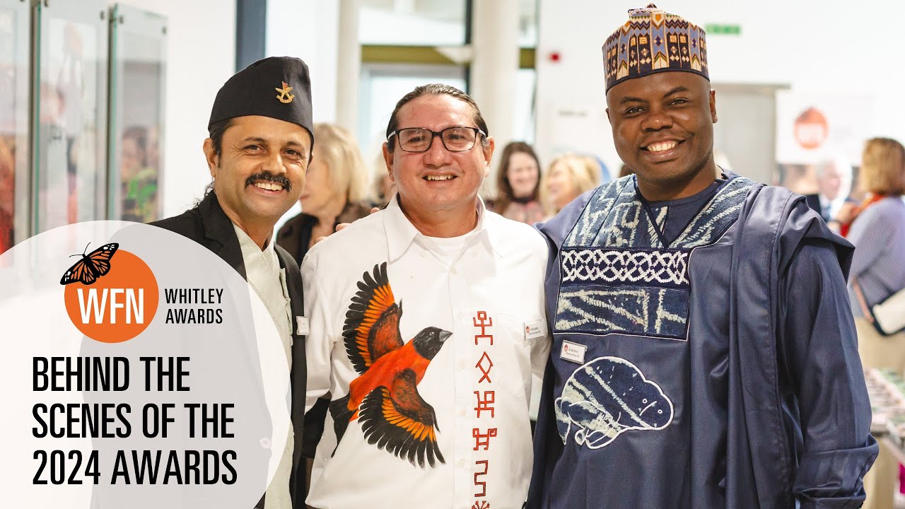 Whitley Awards 2024: A look behind the scenes