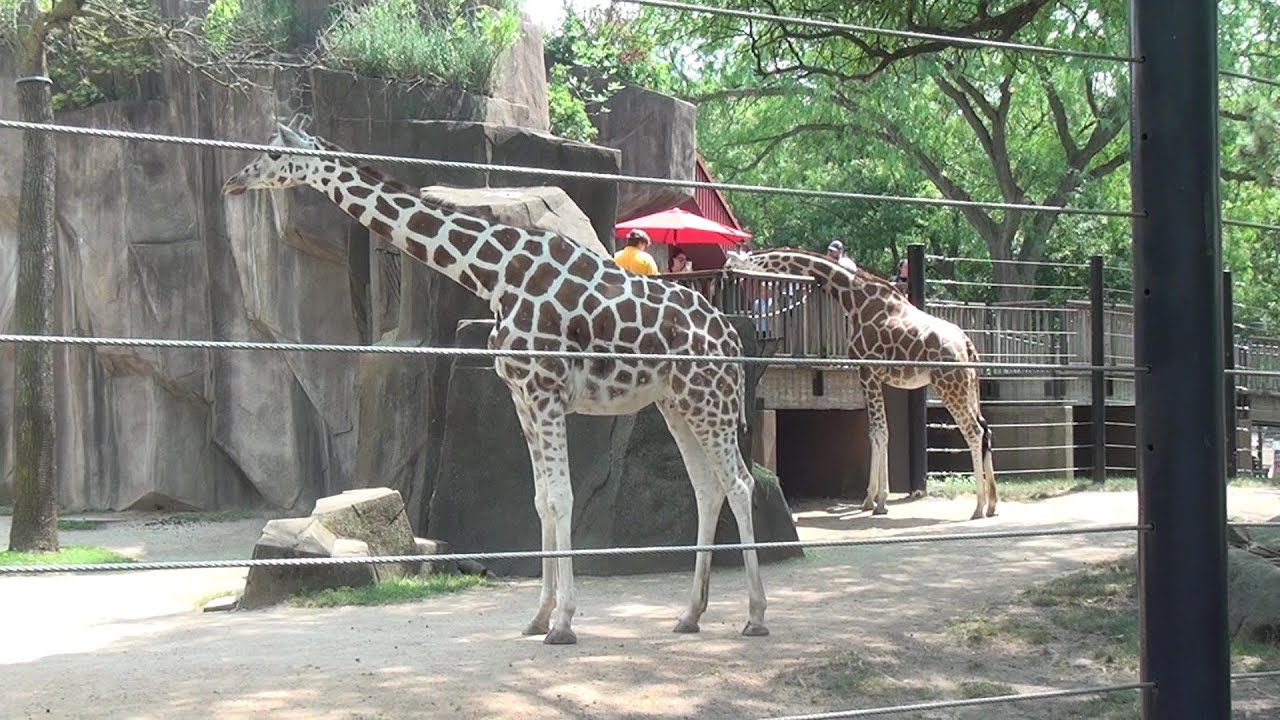 MILWAUKEE COUNTY ZOO 2023 Milwaukee, Wisconsin