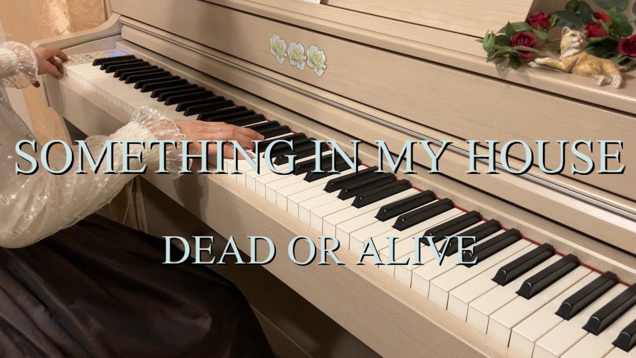 Dead Or Alive - Something in My House - Piano Cover