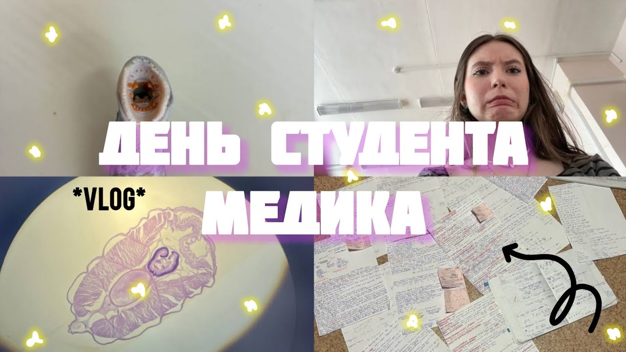 как проходит день студента в медицинском 💔 *влог* 