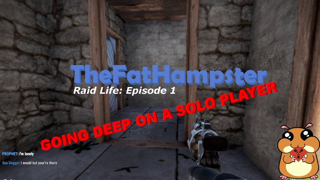 Raid Life # 1