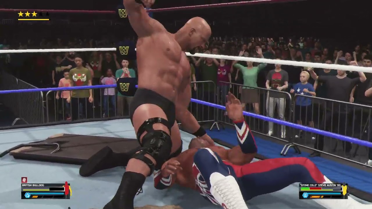 Stone Cold Steve Austin vs British Bulldog | King of the Ring