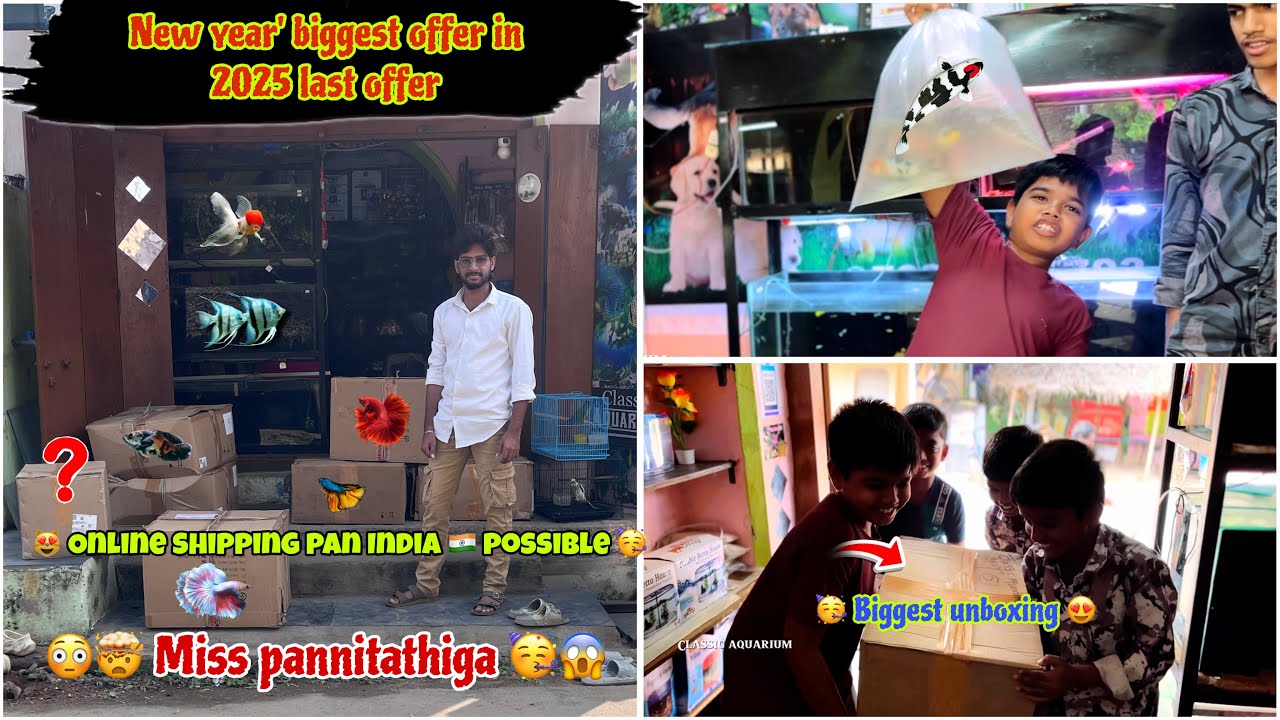 🎉 New Year Biggest Offers 🎁 |All Over India Shipping | Don’t Miss It 🔥biggest unboxing in this year🎊