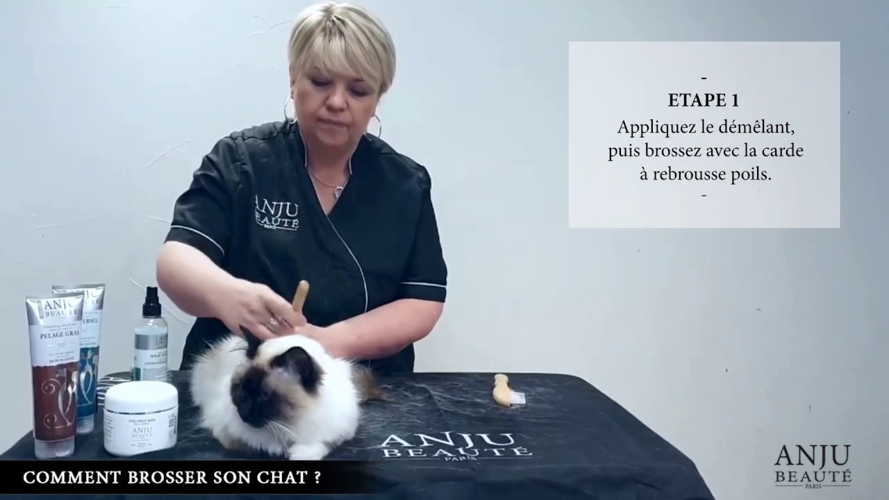 D&eacute;m&ecirc;ler en douceur les poils de son chat - Catherine Favet