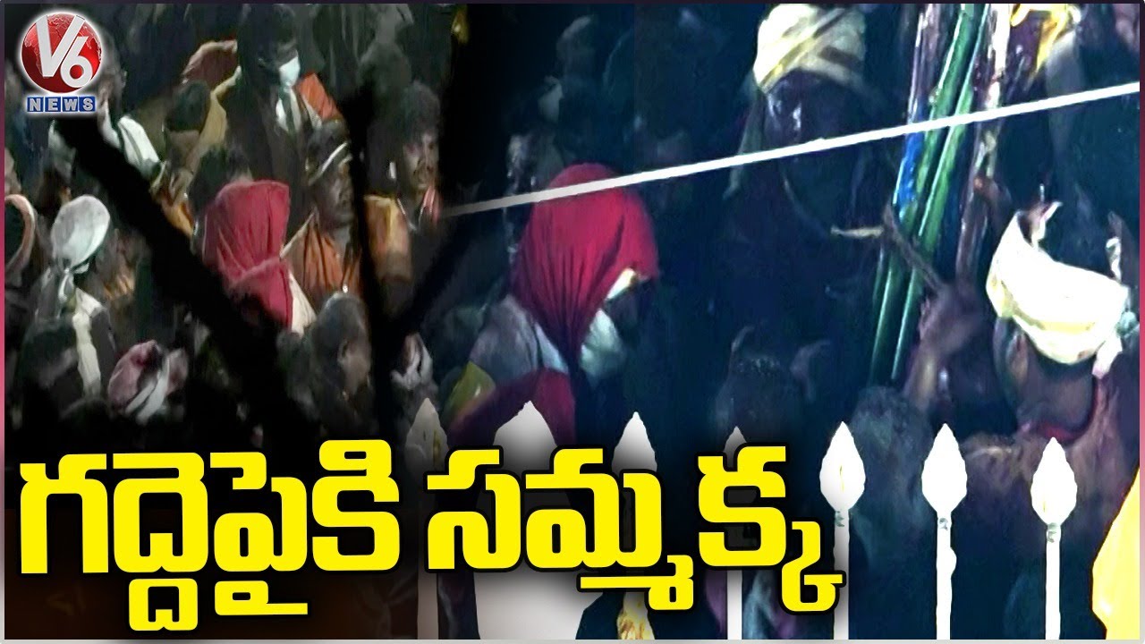 Goddesses Samakka Reached Medaram Gadde | Medaram Maha Jatara | V6 News