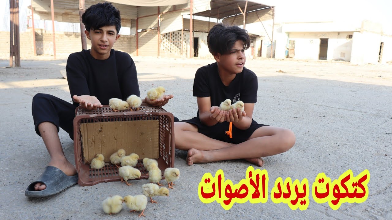 فلم عراقي قصير ابو الكتاكيت