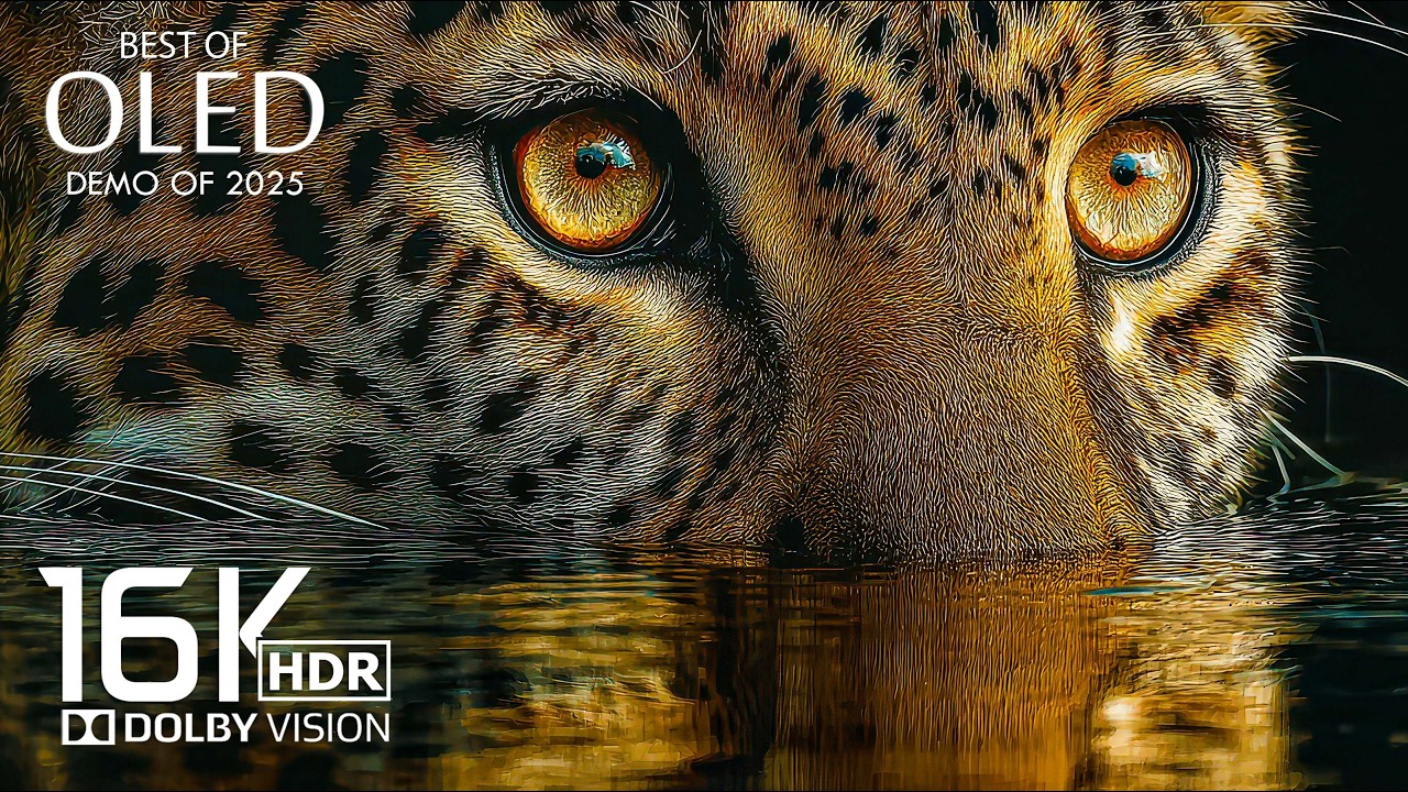Потрясающее 16K HDR 120 кадров в секунду 🌿Dolby Vision (16K видео )