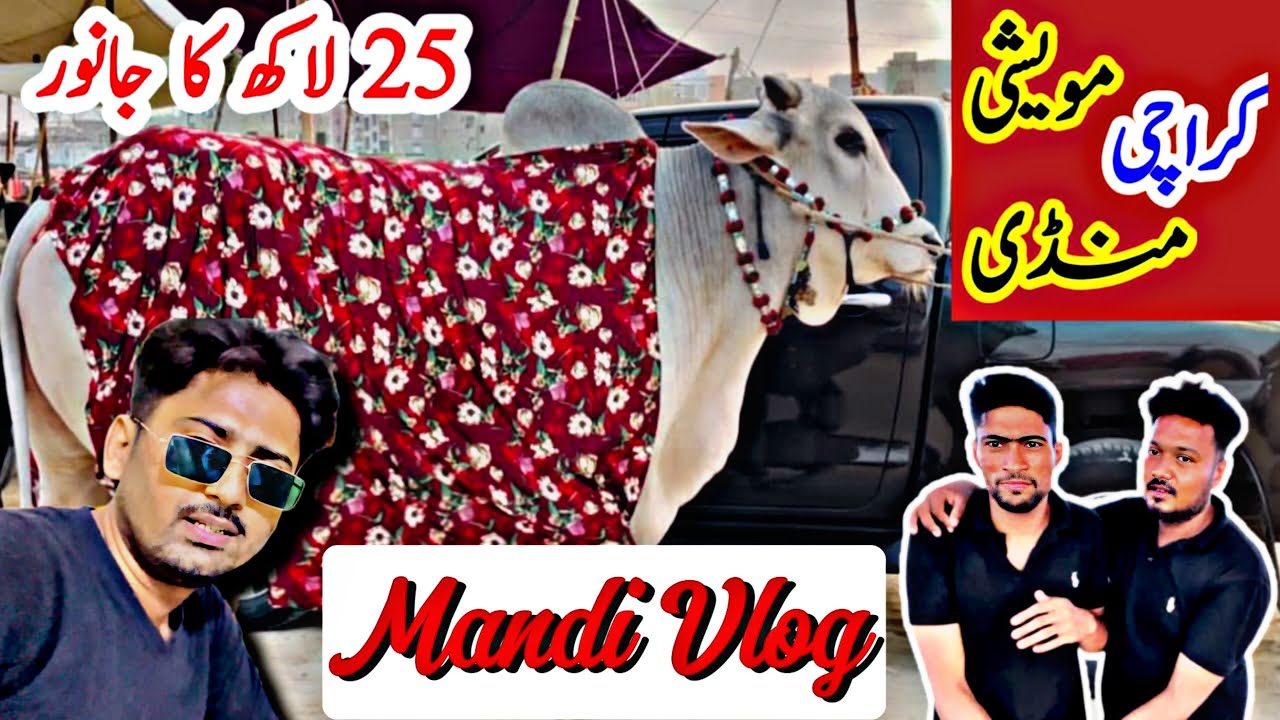 Mandi Vlog 2024 | Bakra Eid 2024 | Karachi Maweshi Mandi | Ek se Bharh k Ek Khubsurat Janwar