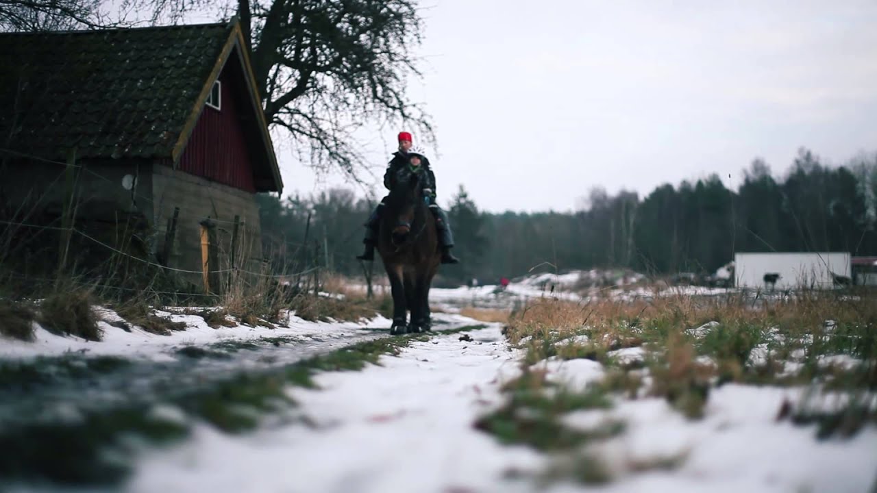 Skogens gård
