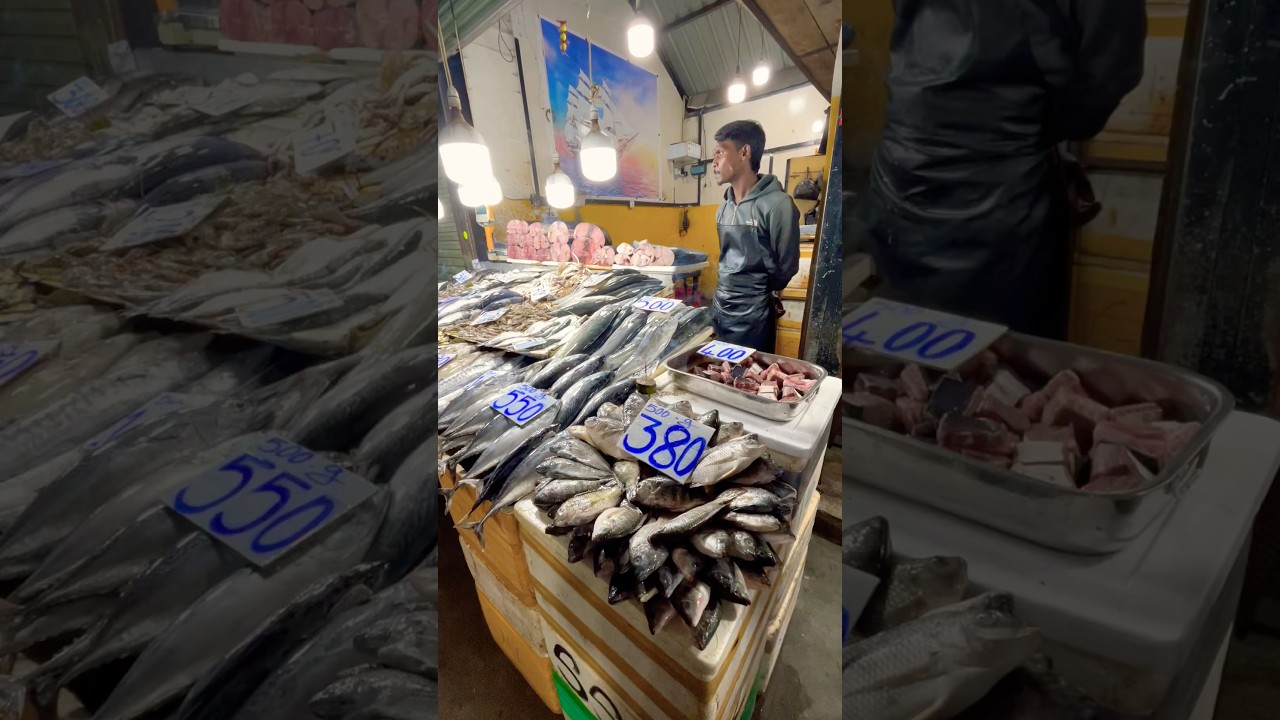 Sri Lanka is expensive than India | Fish 🐟Market price of Srilanka #shorts #travel #price