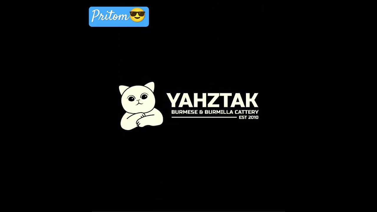 Logo design| Unique  logo | Cat Logo. #logo #cat #catlogo #logodesign #logos #logomaker #2025