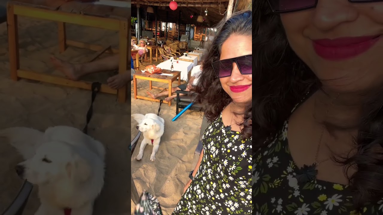 Beautiful Sunset view at Agonda Beach | Travelling South Goa with Our Pet 🐶 | #ashortaday #shorts