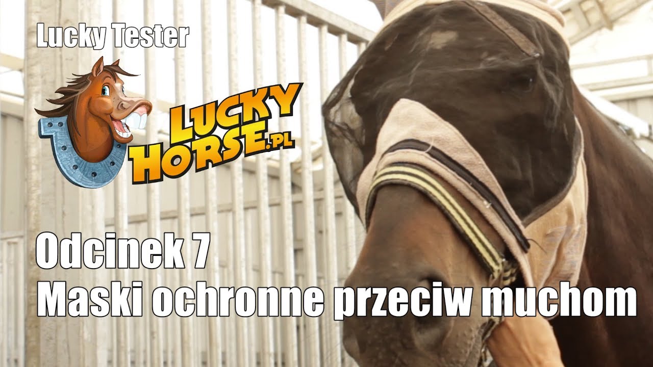 Lucky Tester - Odc.07 - Maski ochronne przeciw muchom