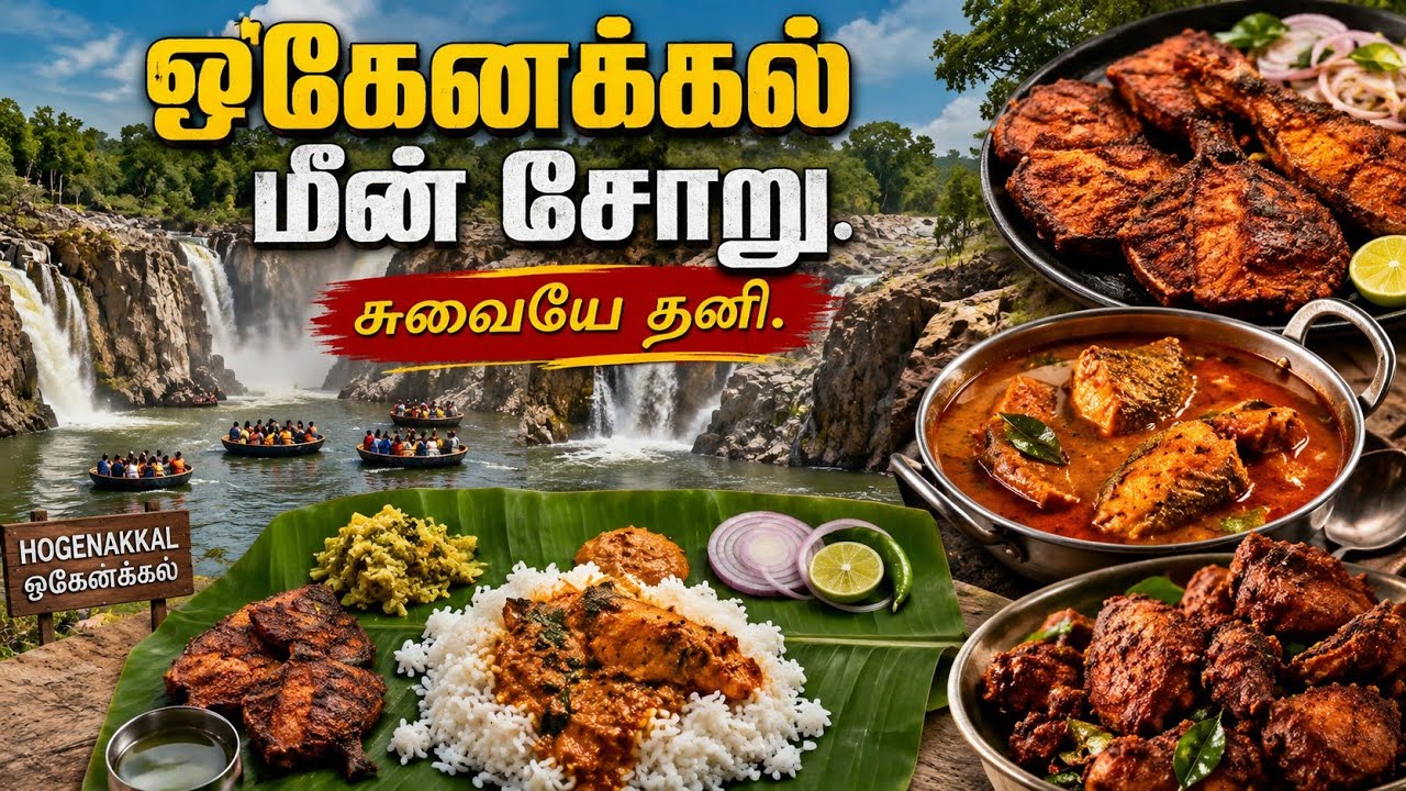 Hogenakkal Fish Curry Secret and Vlog | ஒகேனக்கல் சுற்றுலா |  Mettur Senthil