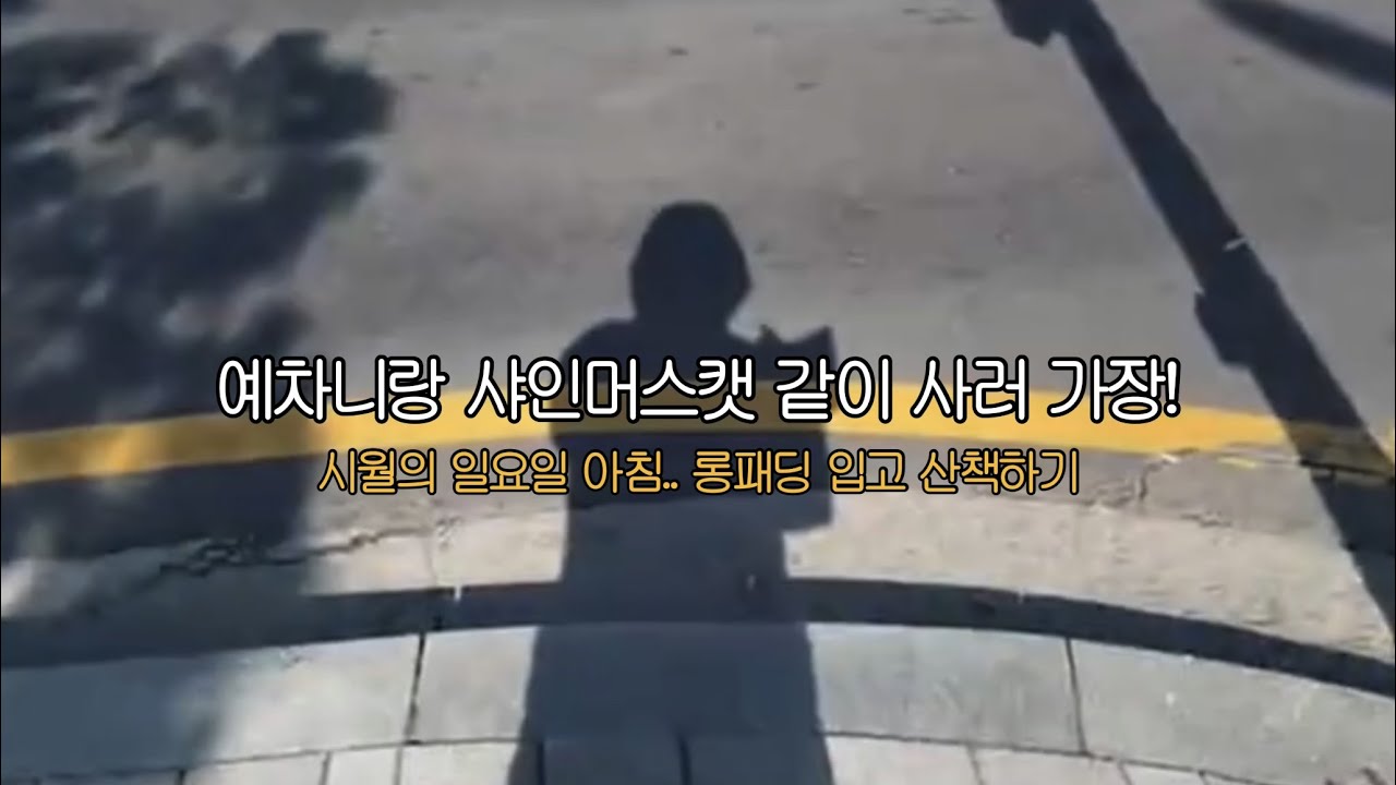 샤인머스캣 같이 사러 가자! / 루시 신예찬