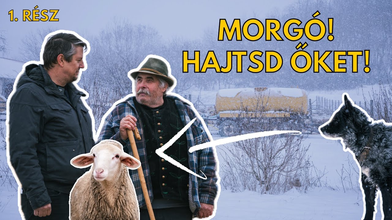 Hegyesdi tél | Pásztorok a Bakonyból (Hegyesd) 1. rész
