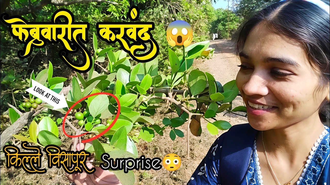 विसापूर किल्यावर जाताना unexpected surprise 😳|गडावर 😱फळबाग | किल्ले विसापूर माहिती 🚩🙏|इतिहास |