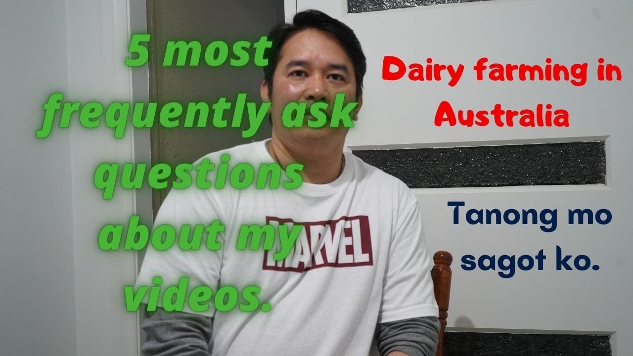 5 most frequently ask questions about my videos || Dairy Farming in Australia || Bongzki in OZ