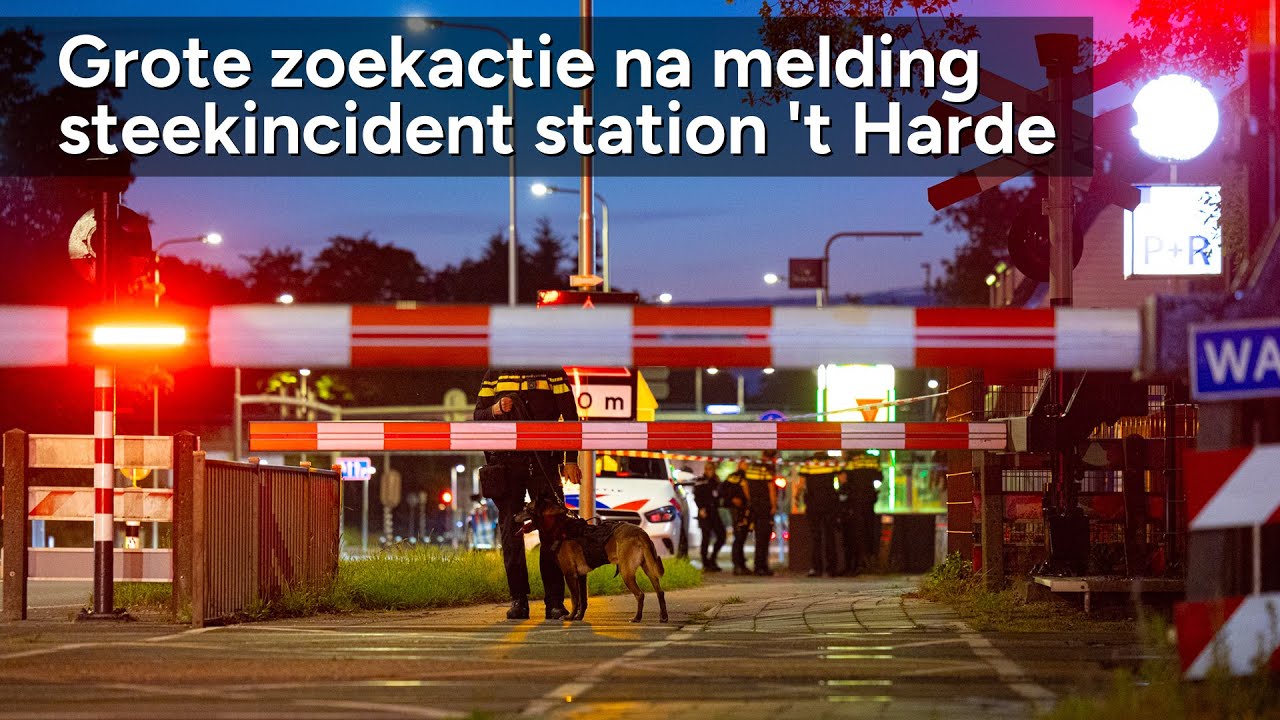 Grote zoekactie na melding steekincident station 't Harde - ©StefanVerkerk.nl