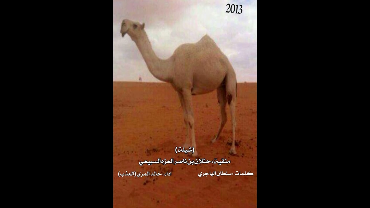 شيلة عادة الغلباء للمجاد غلابه منقية حثلان بن ناصر السبيعي اداء العذب
